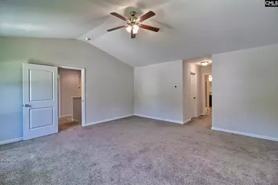 306 Dolly Horn Lane, Chapin, SC 29036 - Photo 25