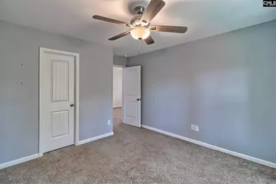 306 Dolly Horn Lane, Chapin, SC 29036 - Photo 41