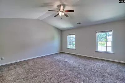 306 Dolly Horn Lane, Chapin, SC 29036 - Photo 23