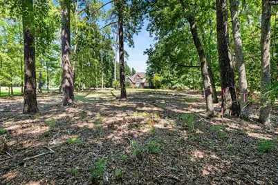 105 Oak Trace Court #30, Chapin, SC 29036 - Photo 7