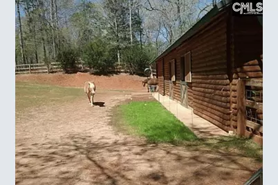 129 Tiger Paw Lane, Irmo, SC 29063 - Photo 7