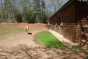 129 Tiger Paw Ln, Irmo, SC 29063 - Photo 7