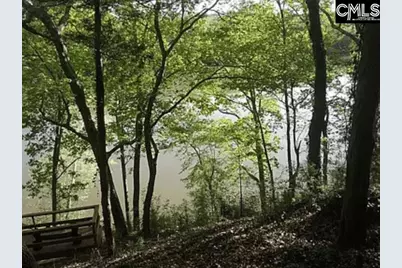 129 Tiger Paw Lane, Irmo, SC 29063 - Photo 41