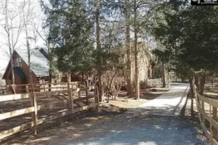 129 Tiger Paw Ln, Irmo, SC 29063 - Photo 3