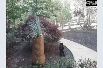 129 Tiger Paw Lane, Irmo, SC 29063 - Photo 35