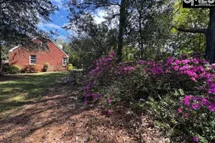 6657 Augusta Hwy, Leesville, SC 29070 - Photo 5