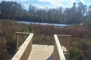 3613 Padgett Rd, Columbia, SC 29209 - Photo 15