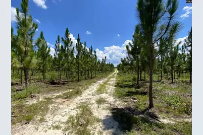 0 Bub Shumpert Road, Pelion, SC 29123 - Photo 7