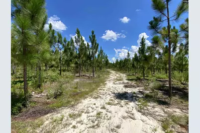 0 Bub Shumpert Road, Pelion, SC 29123 - Photo 9