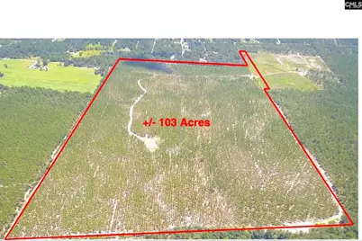 0 Bub Shumpert Road, Pelion, SC 29123 - Photo 1