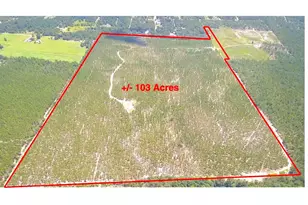 0 Bub Shumpert Rd, Pelion, SC 29123 - Photo 1