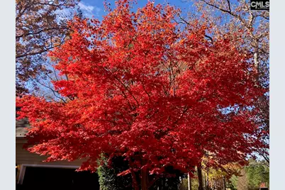 203 Roundtree Road, Blythewood, SC 29016 - Photo 43