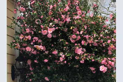 203 Roundtree Road, Blythewood, SC 29016 - Photo 45