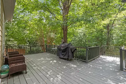 203 Roundtree Road, Blythewood, SC 29016 - Photo 35