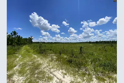 00 Bub Shumpert Road, Pelion, SC 29123 - Photo 19