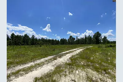 00 Bub Shumpert Road, Pelion, SC 29123 - Photo 21