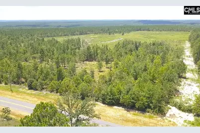 00 Bub Shumpert Road, Pelion, SC 29123 - Photo 15