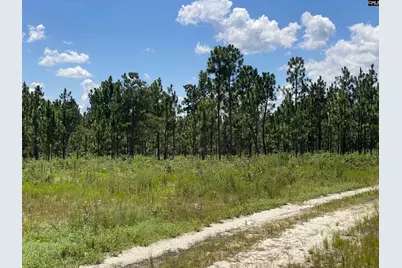 00 Bub Shumpert Road, Pelion, SC 29123 - Photo 9