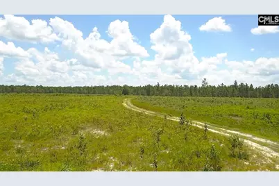 00 Bub Shumpert Road, Pelion, SC 29123 - Photo 17