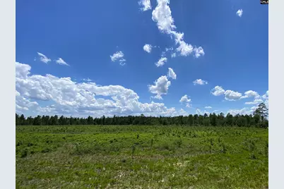 00 Bub Shumpert Road, Pelion, SC 29123 - Photo 7