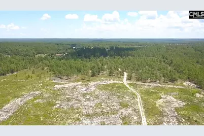 00 Bub Shumpert Road, Pelion, SC 29123 - Photo 13