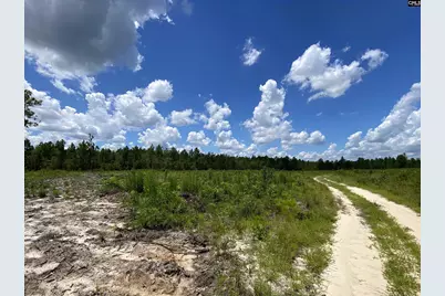 00 Bub Shumpert Road, Pelion, SC 29123 - Photo 5