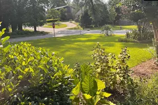 1 Cardross Ln, Columbia, SC 29209 - Photo 5