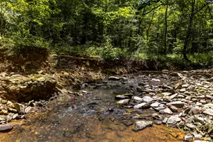 0 Pageland Hwy, Lancaster, SC 29720 - Photo 3