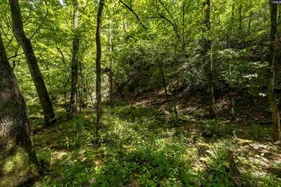0 Pageland Highway, Lancaster, SC 29720 - Photo 13