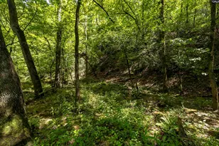 0 Pageland Hwy, Lancaster, SC 29720 - Photo 13