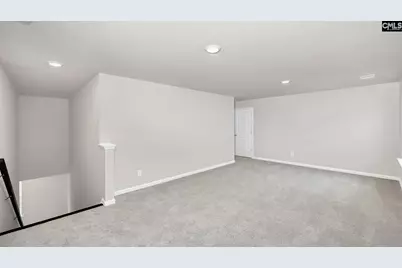 198 Livingston Woods Drive, Irmo, SC 29063 - Photo 21