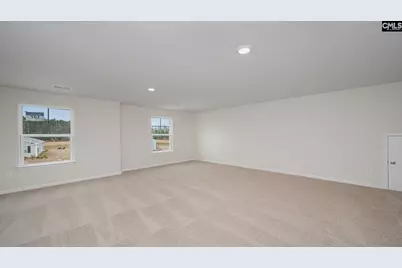 198 Livingston Woods Drive, Irmo, SC 29063 - Photo 17