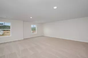 198 Livingston Woods Dr, Irmo, SC 29063 - Photo 17