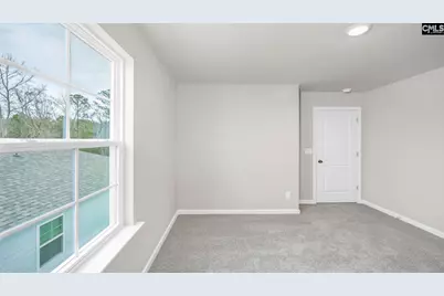 198 Livingston Woods Drive, Irmo, SC 29063 - Photo 33