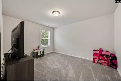 420 Lady Liberty Way, Lexington, SC 29073 - Photo 25