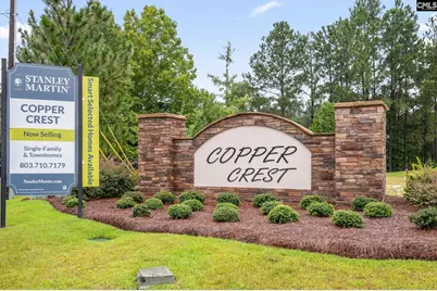 420 Lady Liberty Way, Lexington, SC 29073 - Photo 5