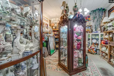 295 N Church Street, Swansea, SC 29160 - Photo 13