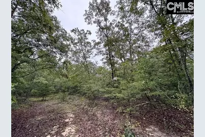 P/O 1375 Fallaw Road, Gaston, SC 29053 - Photo 5