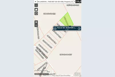 0 Staley Field Lane, Saint Matthews, SC 29135 - Photo 3