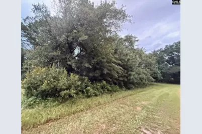 0 Staley Field Lane, Saint Matthews, SC 29135 - Photo 1