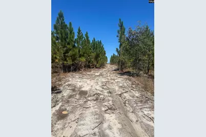 Tr 4 Providence Road 4 #Tract 4, Cassatt, SC 29032 - Photo 5