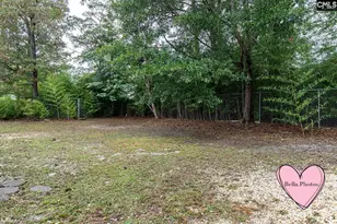 11 Creekfield Ct, Columbia, SC 29229 - Photo 23