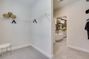 2430 Green Viper Loop, Blythewood, SC 29016 - Photo 29