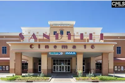 2430 Green Viper Loop, Blythewood, SC 29016 - Photo 49