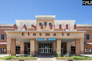 2430 Green Viper Loop, Blythewood, SC 29016 - Photo 49