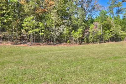 2430 Green Viper Loop, Blythewood, SC 29016 - Photo 45