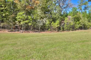 2430 Green Viper Loop, Blythewood, SC 29016 - Photo 45