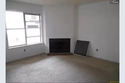 149 Leila Lane, Columbia, SC 29223 - Photo 3