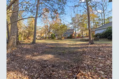 42 Halton Court, Columbia, SC 29223 - Photo 9