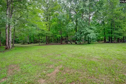731 Clamp Road, Blythewood, SC 29016 - Photo 65
